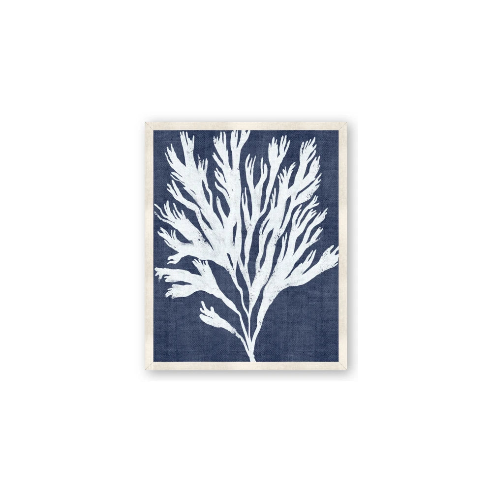Navy Coral II