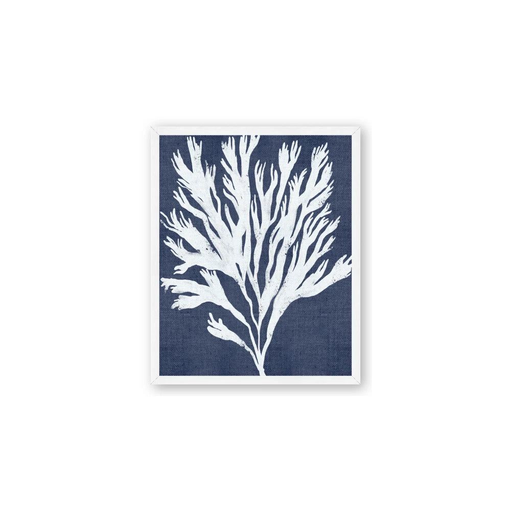 Navy Coral II