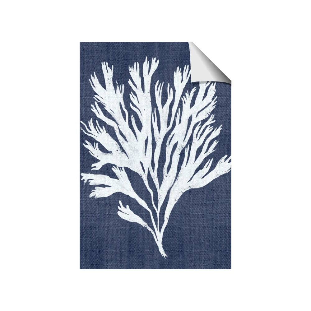 Navy Coral II