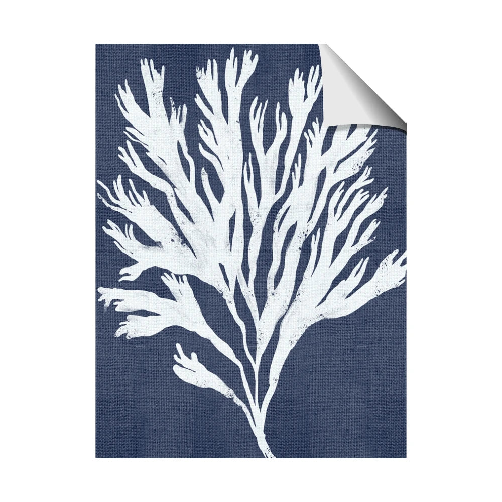 Navy Coral II