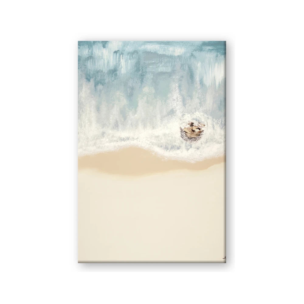 Beach Shore