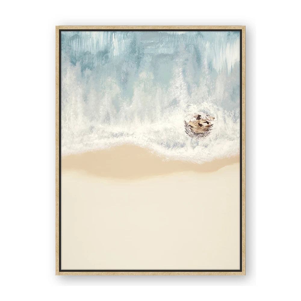 Beach Shore