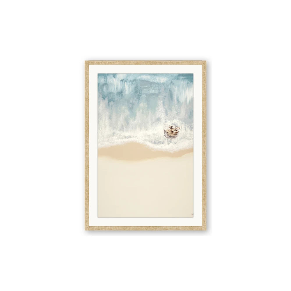Beach Shore