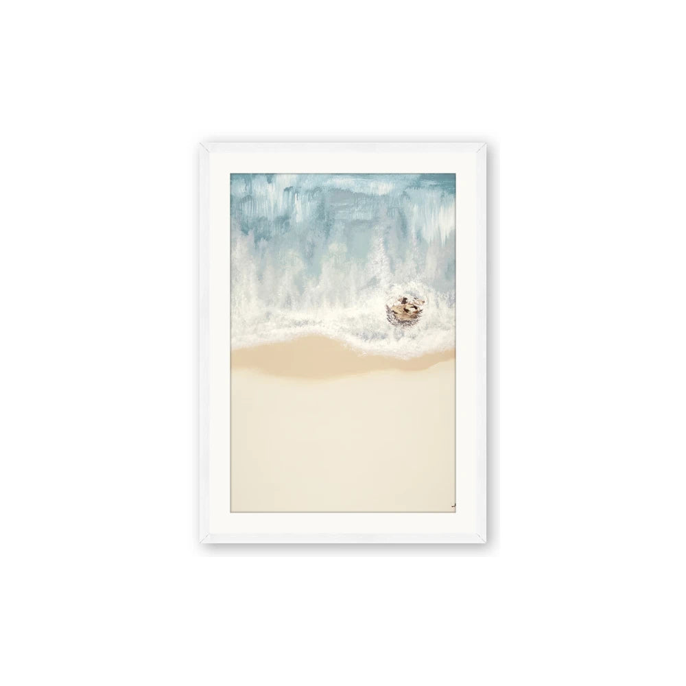 Beach Shore