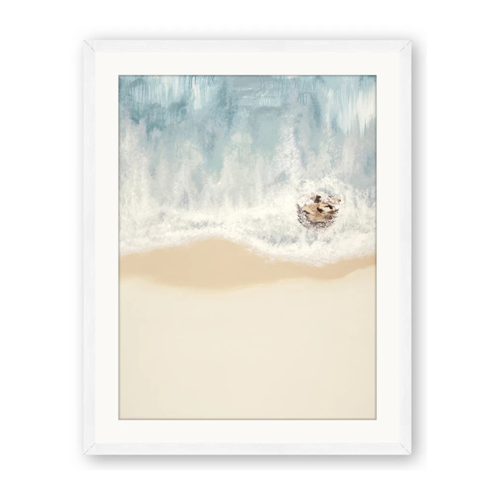 Beach Shore