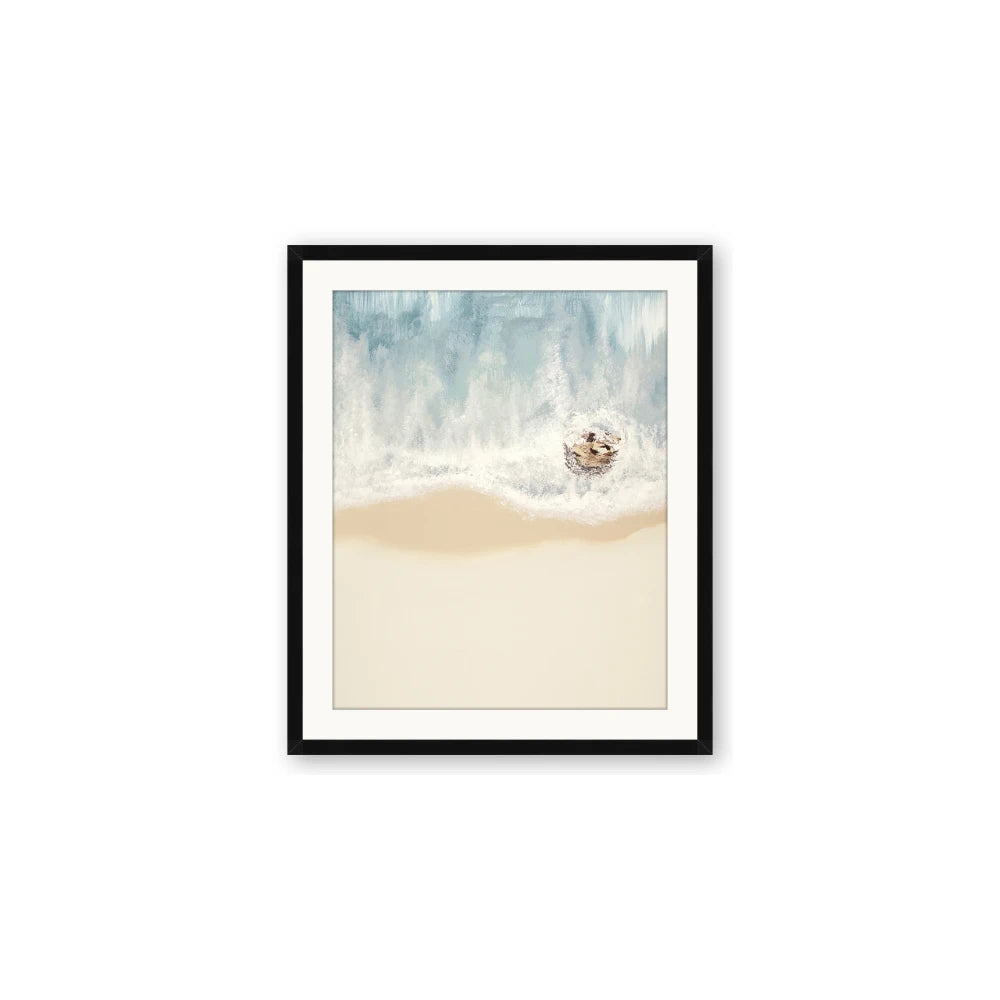 Beach Shore