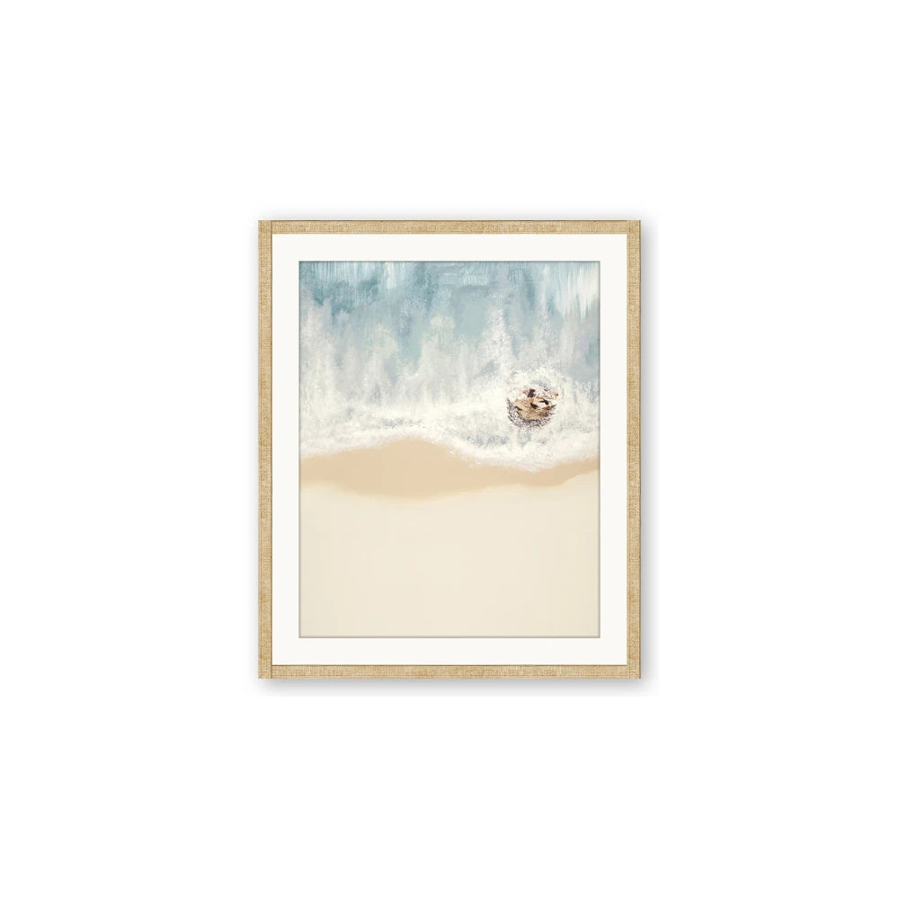 Beach Shore