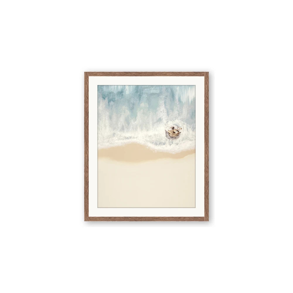 Beach Shore