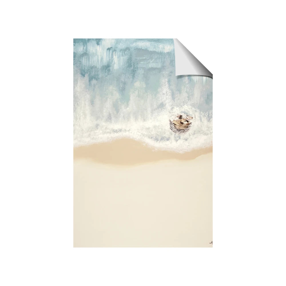 Beach Shore