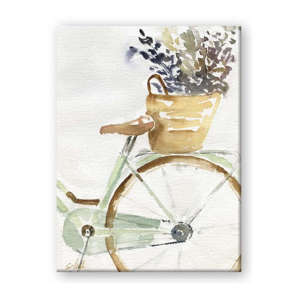 Spring Bike I
