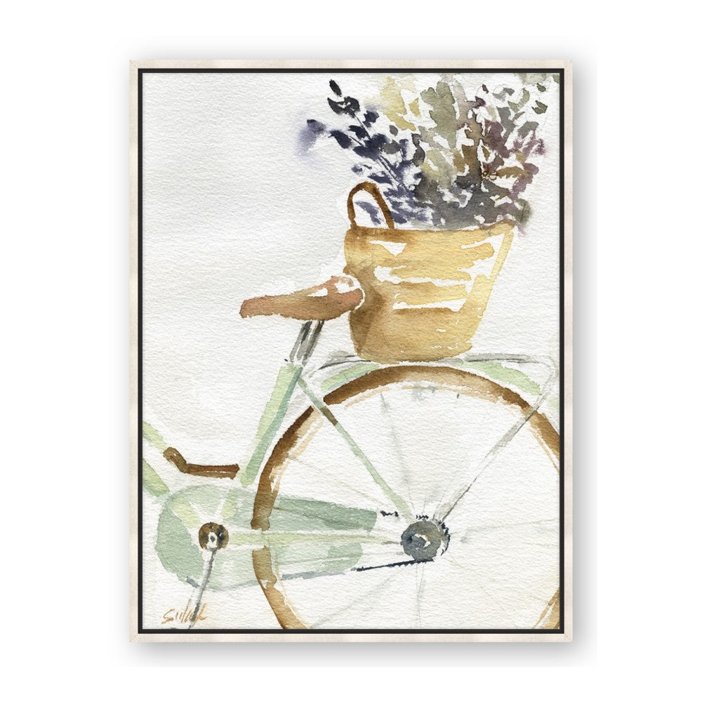 Spring Bike I