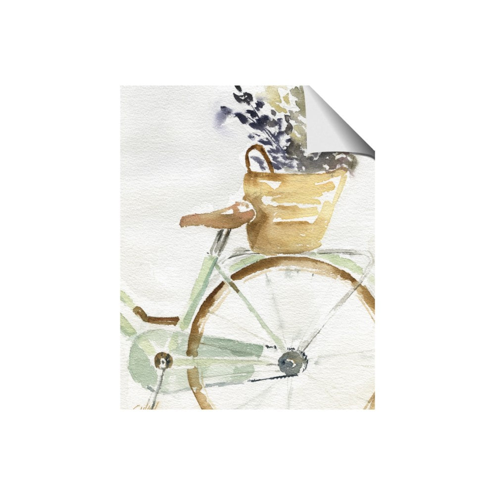 Spring Bike I