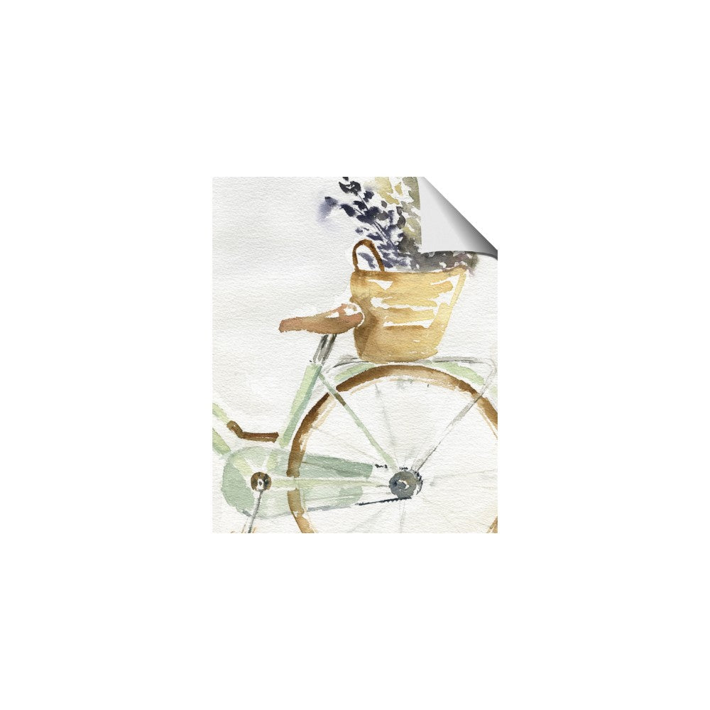 Spring Bike I