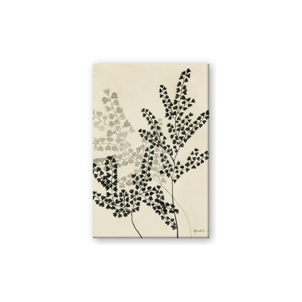 Shadow Botanical I