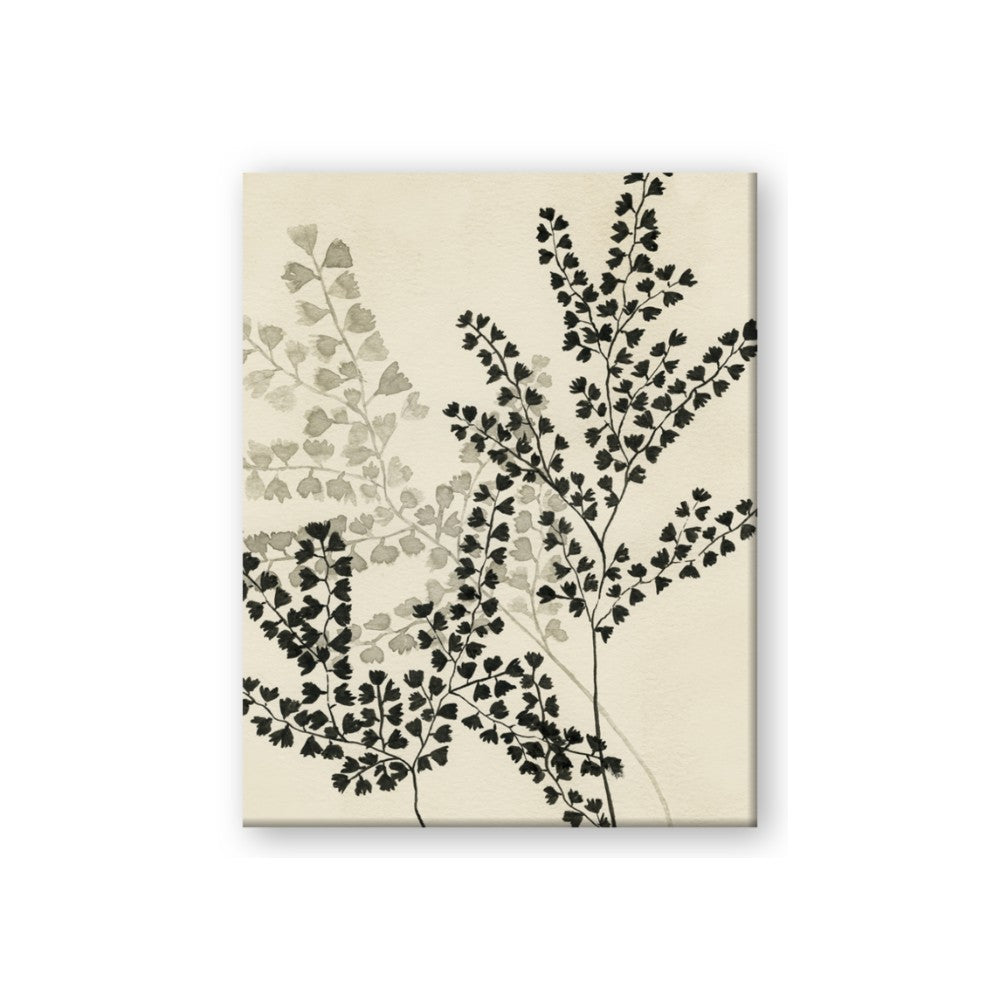 Shadow Botanical I