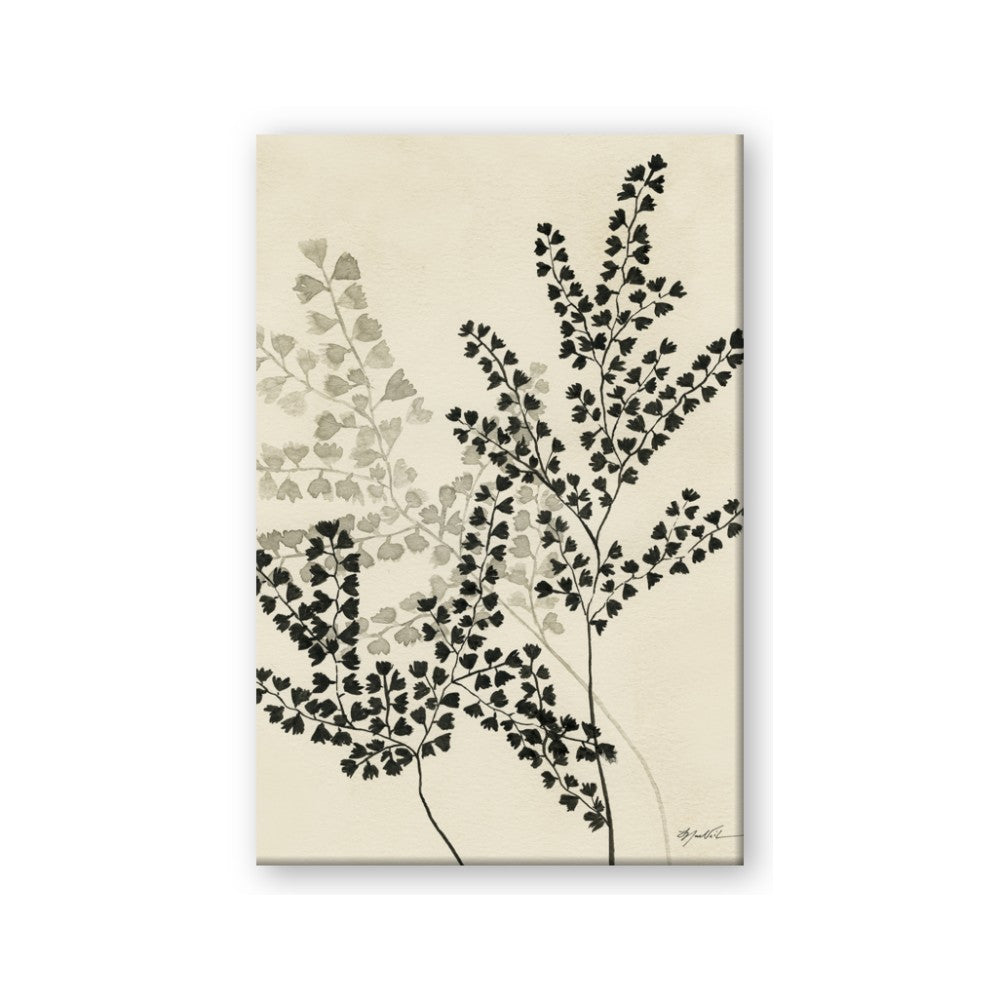Shadow Botanical I
