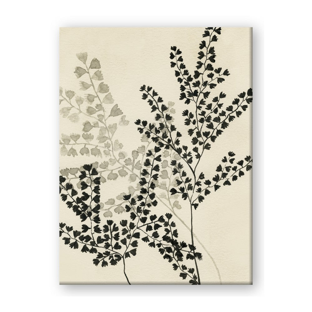 Shadow Botanical I