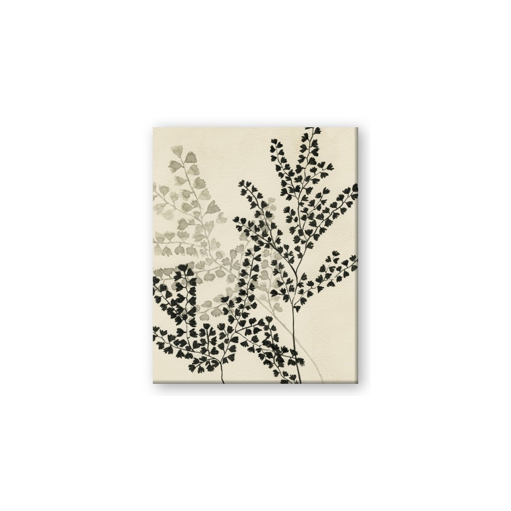 Shadow Botanical I