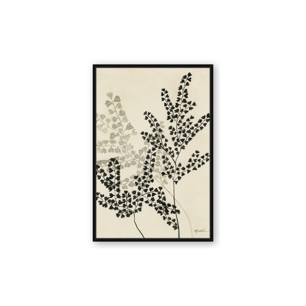 Shadow Botanical I