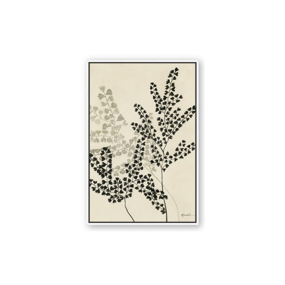 Shadow Botanical I