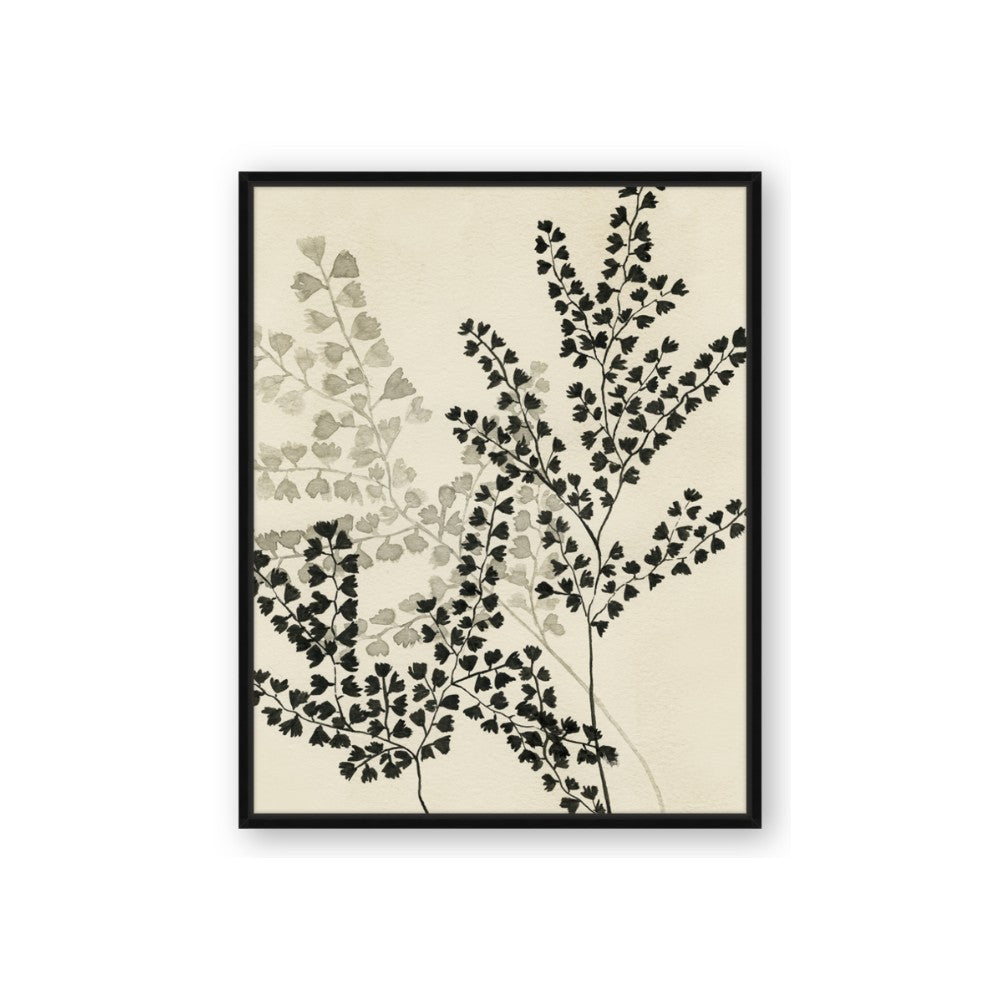 Shadow Botanical I