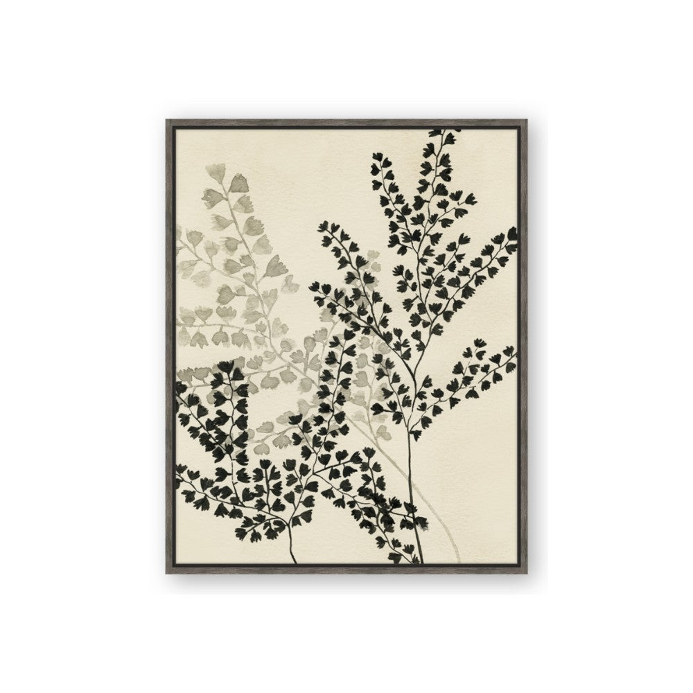Shadow Botanical I