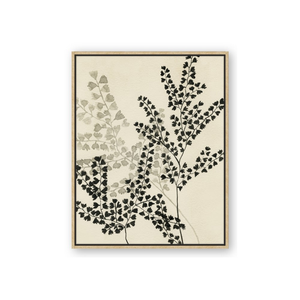 Shadow Botanical I