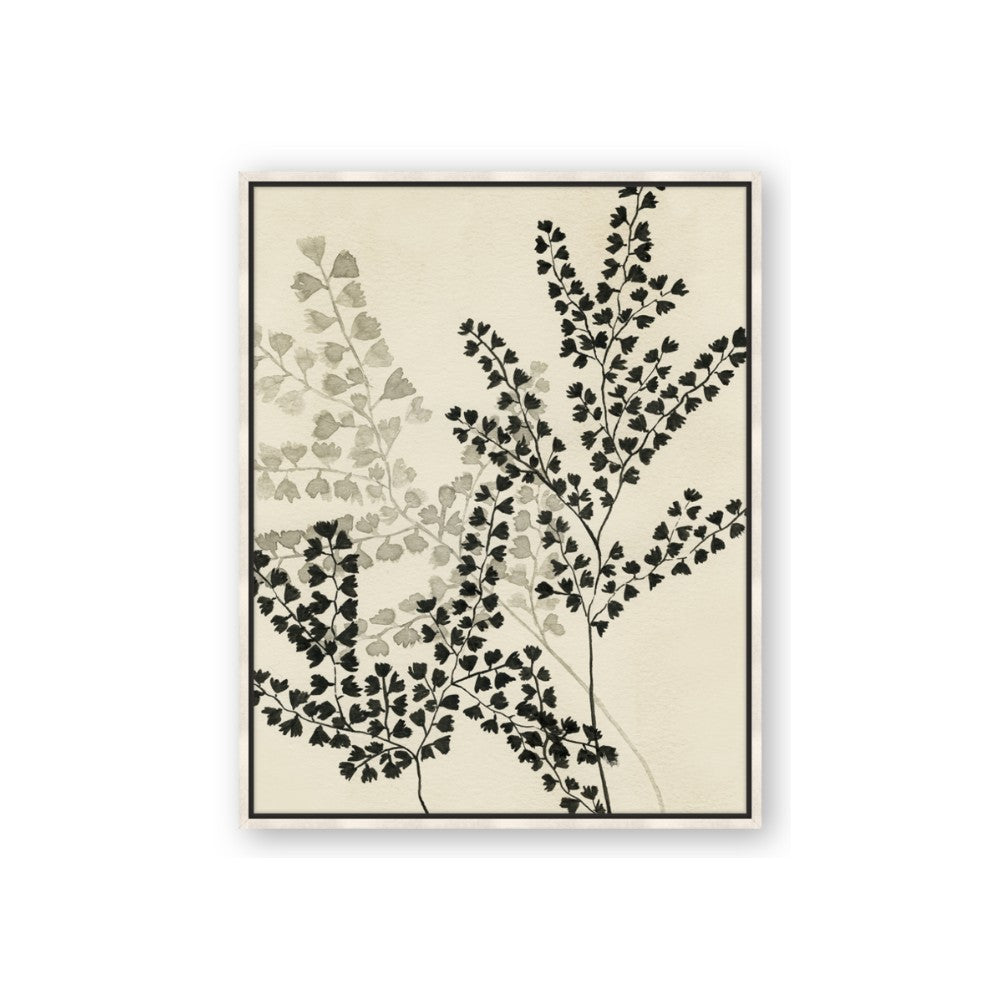 Shadow Botanical I