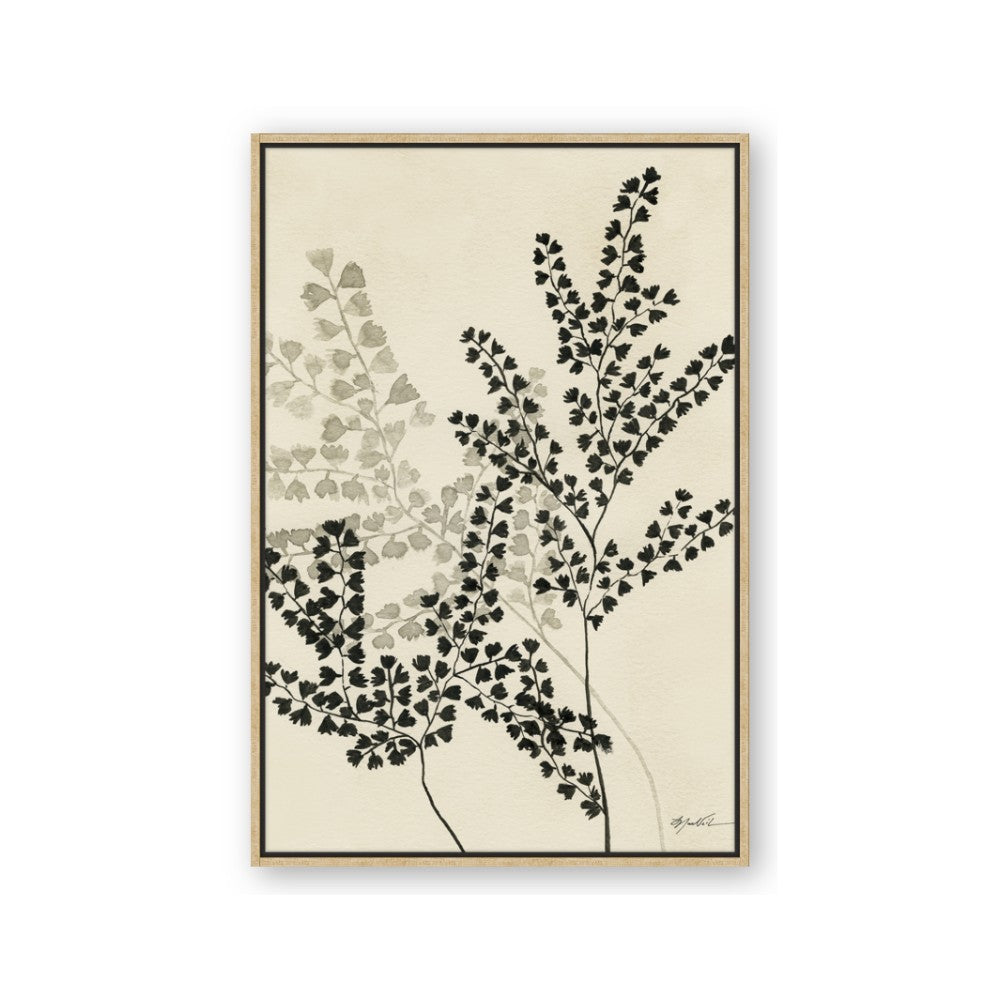 Shadow Botanical I