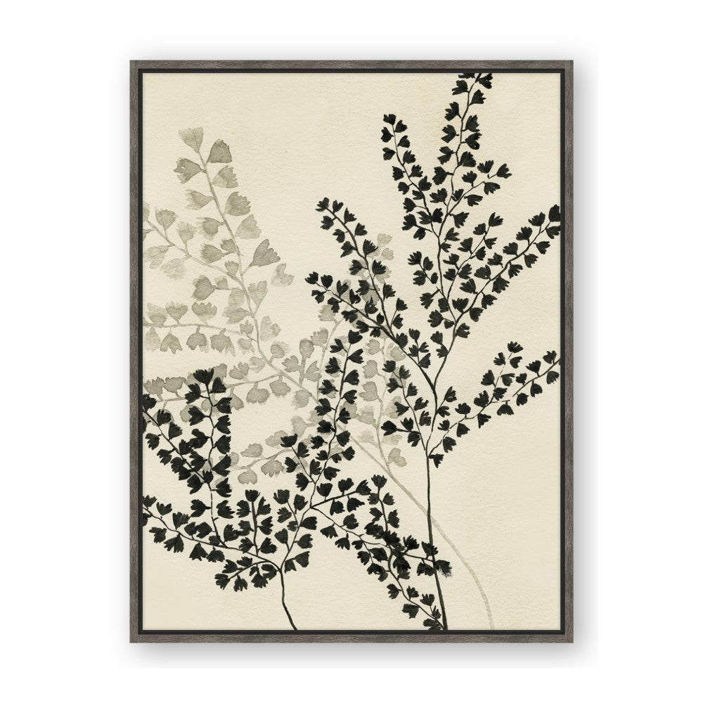 Shadow Botanical I