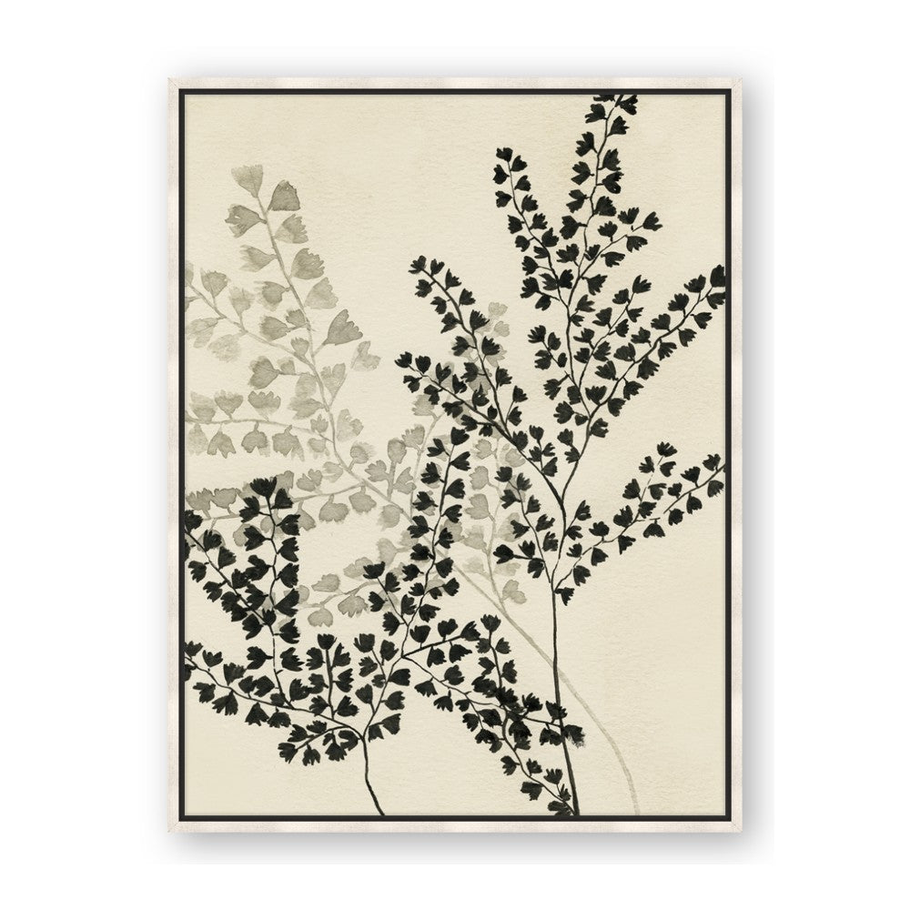 Shadow Botanical I