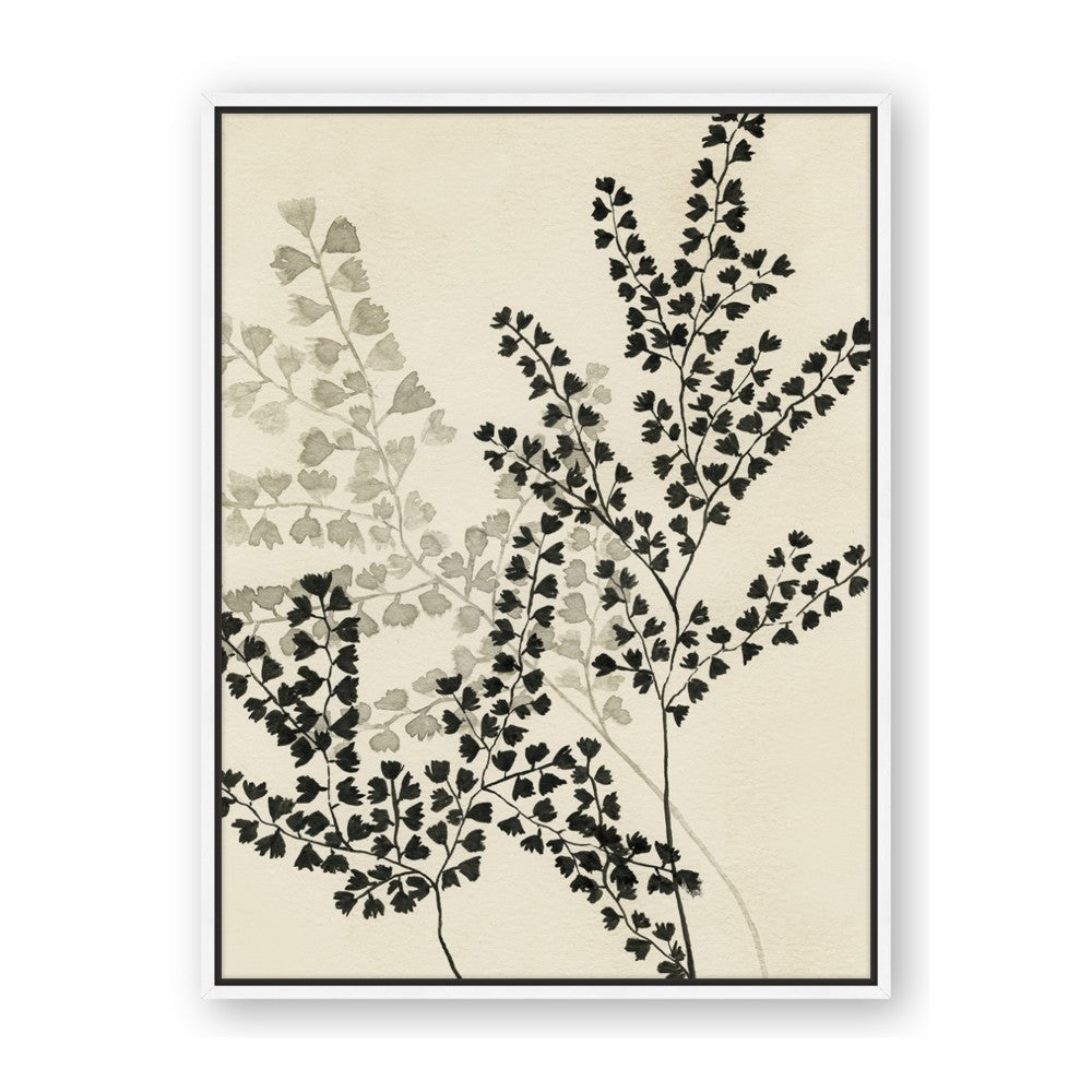 Shadow Botanical I