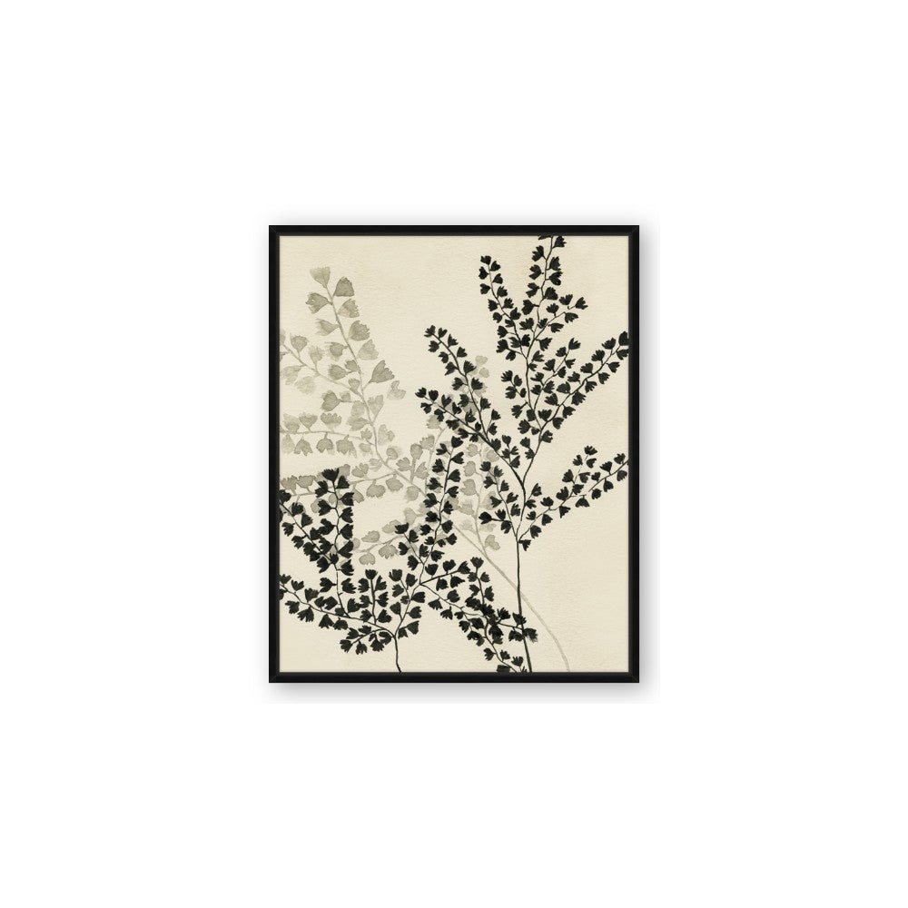 Shadow Botanical I