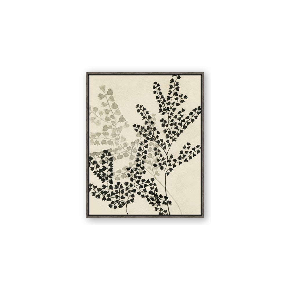Shadow Botanical I