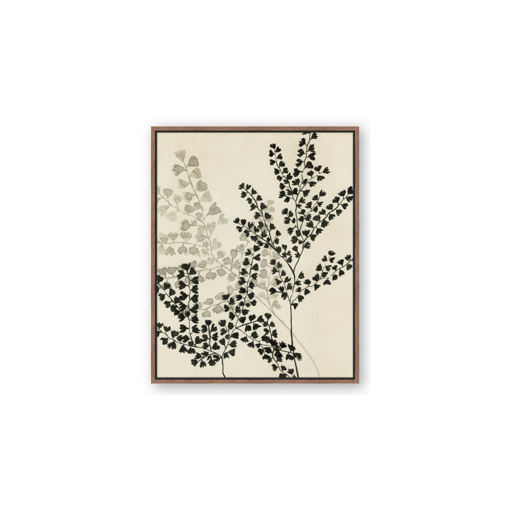 Shadow Botanical I