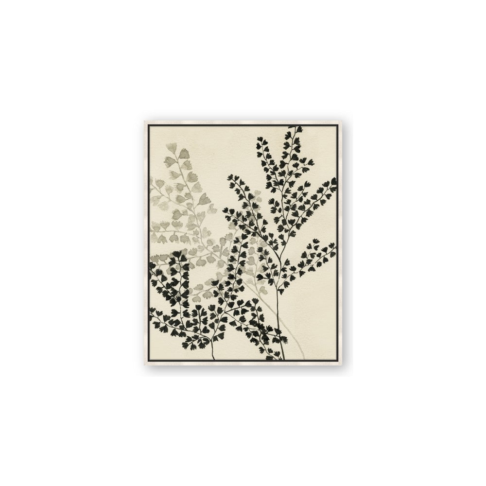 Shadow Botanical I