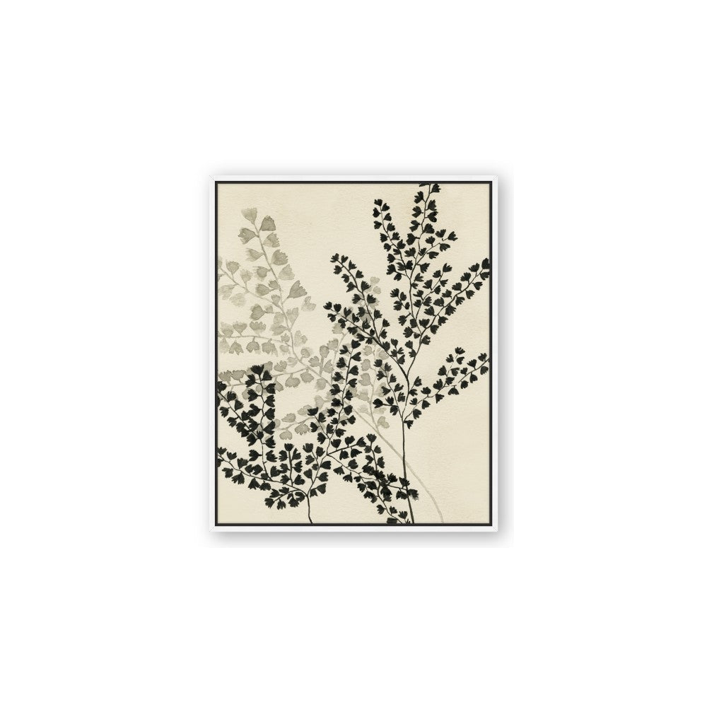 Shadow Botanical I