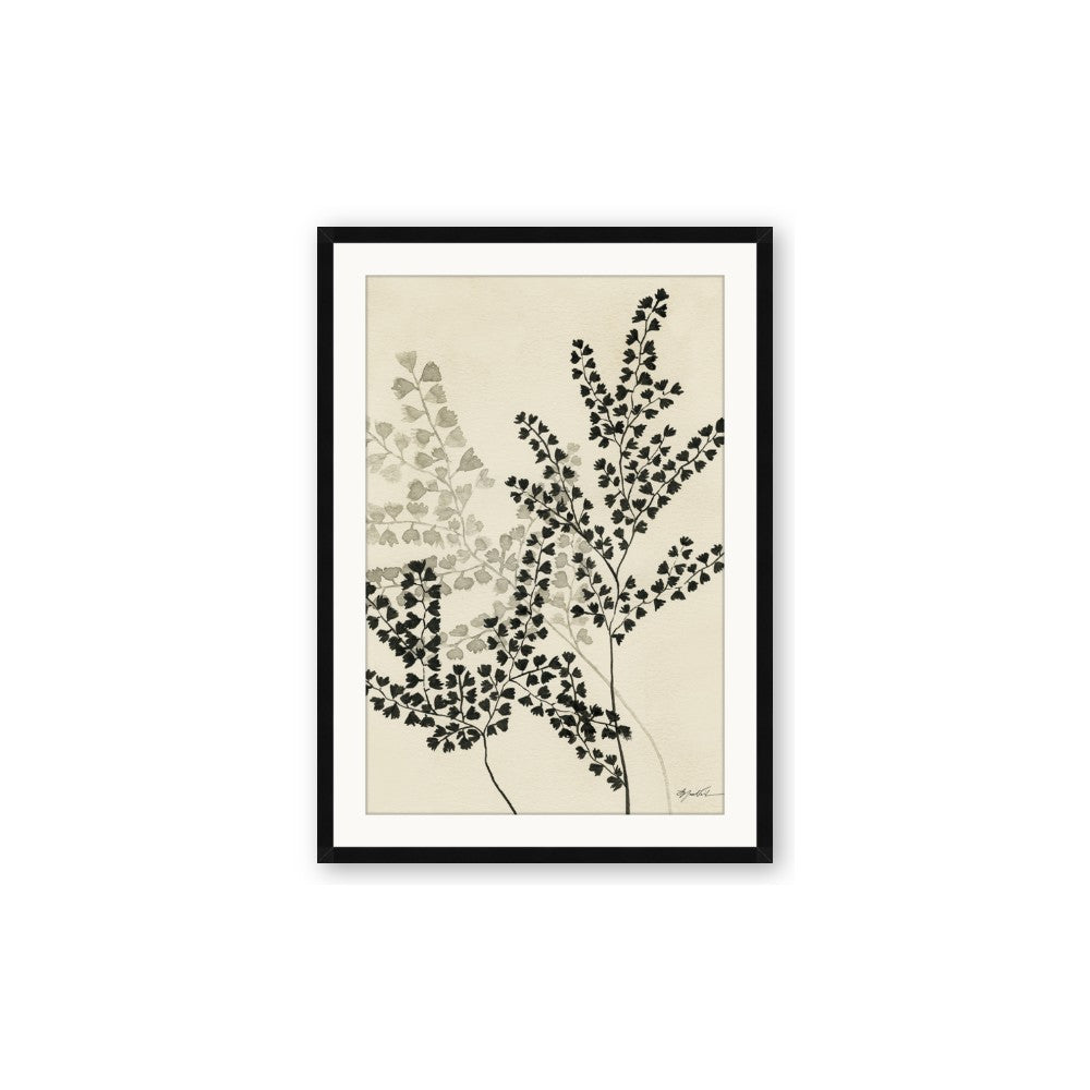 Shadow Botanical I