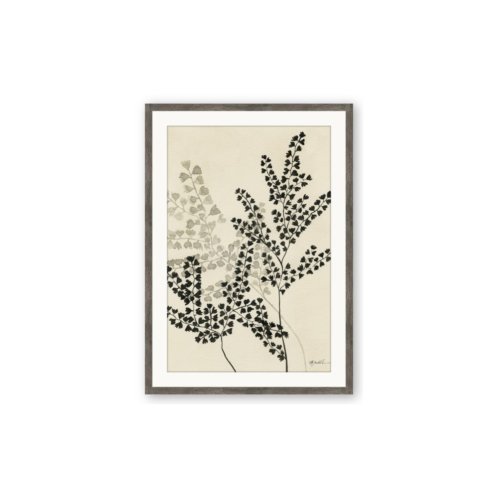 Shadow Botanical I