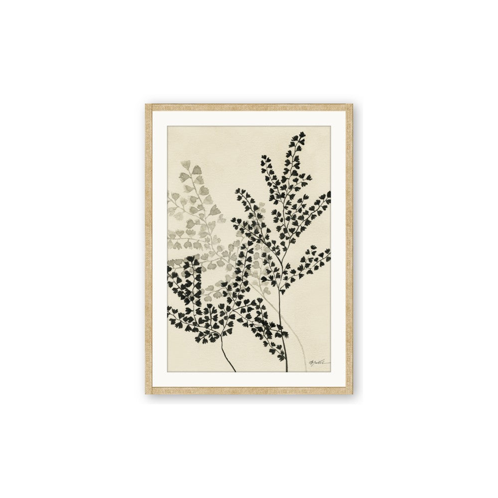 Shadow Botanical I