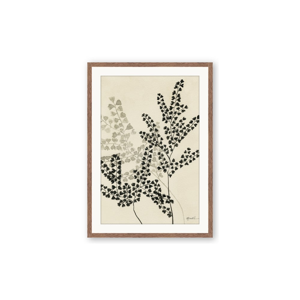 Shadow Botanical I