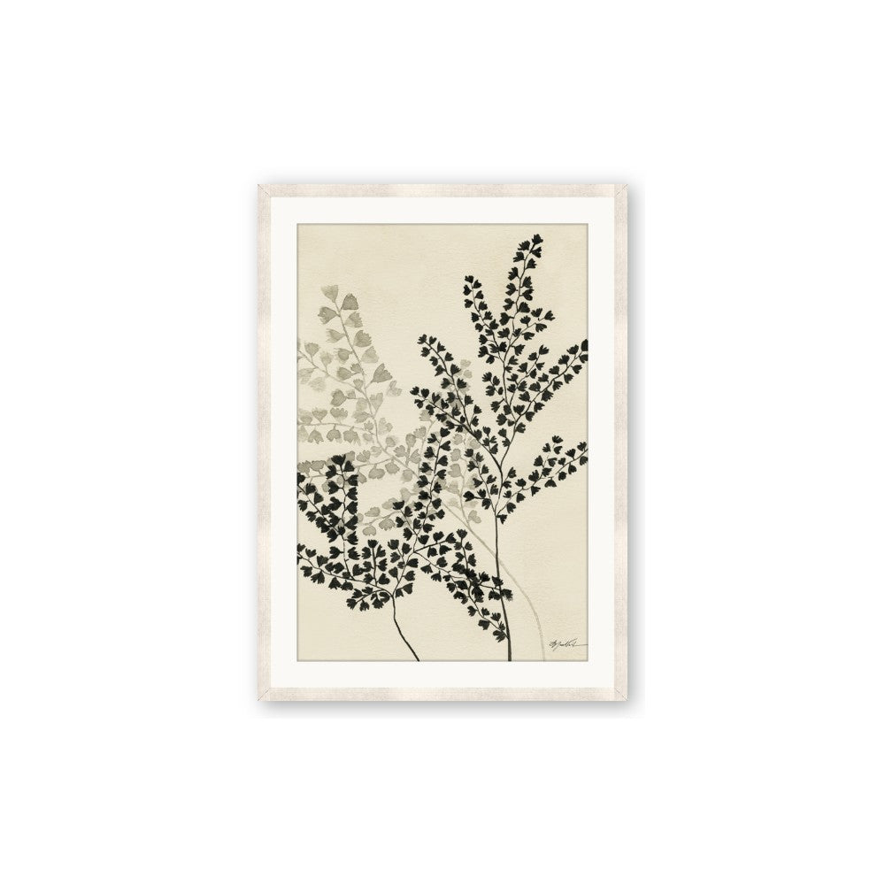 Shadow Botanical I
