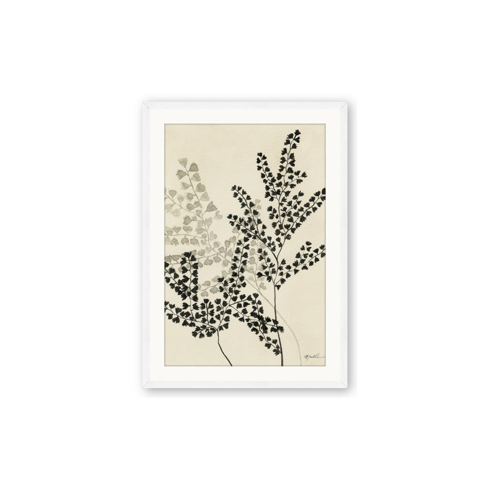 Shadow Botanical I