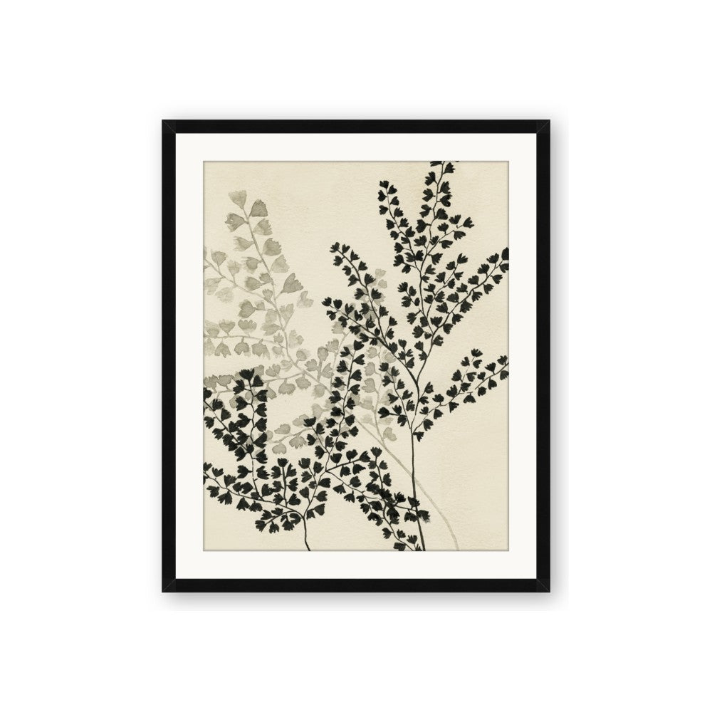 Shadow Botanical I