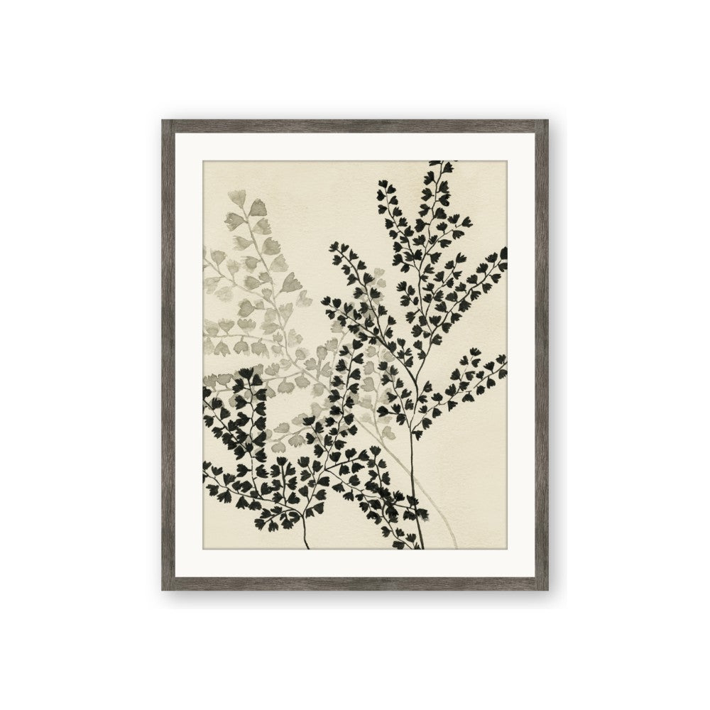 Shadow Botanical I