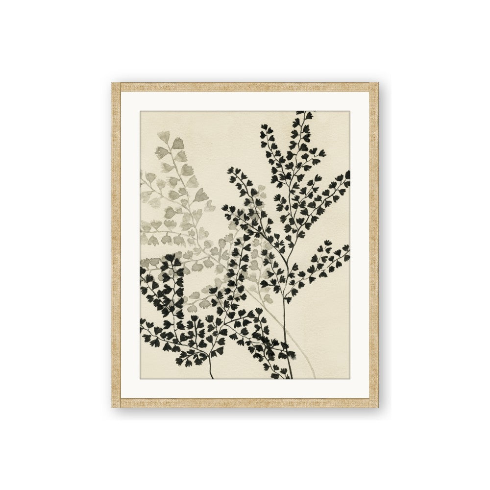 Shadow Botanical I