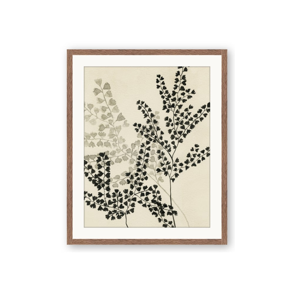 Shadow Botanical I
