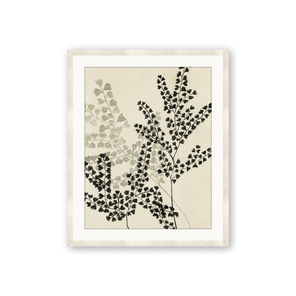 Shadow Botanical I