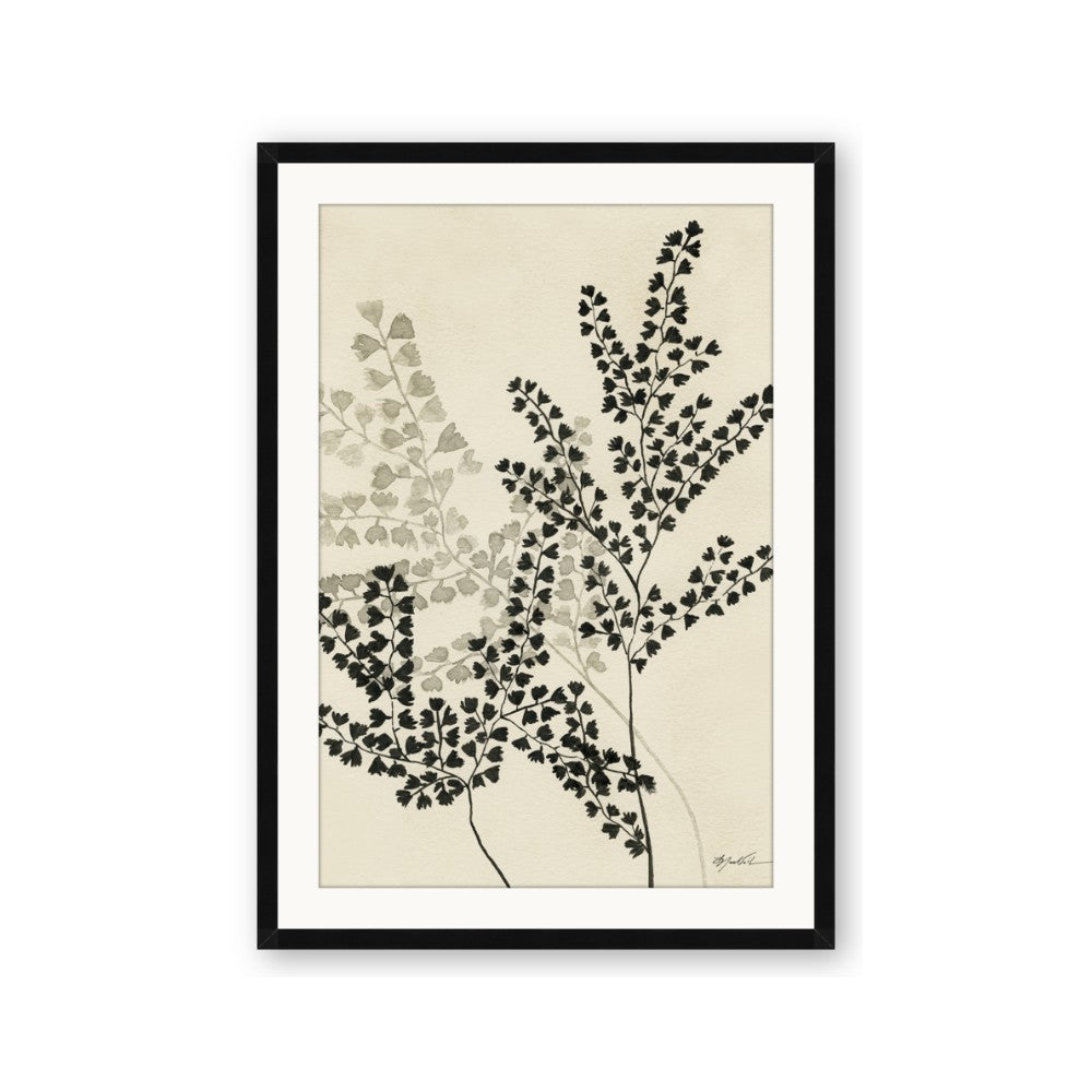 Shadow Botanical I
