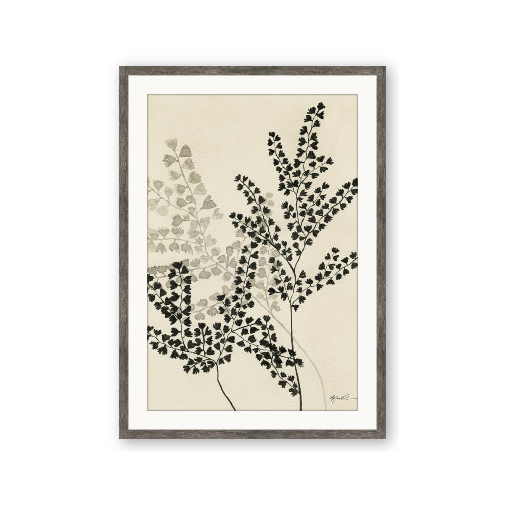 Shadow Botanical I